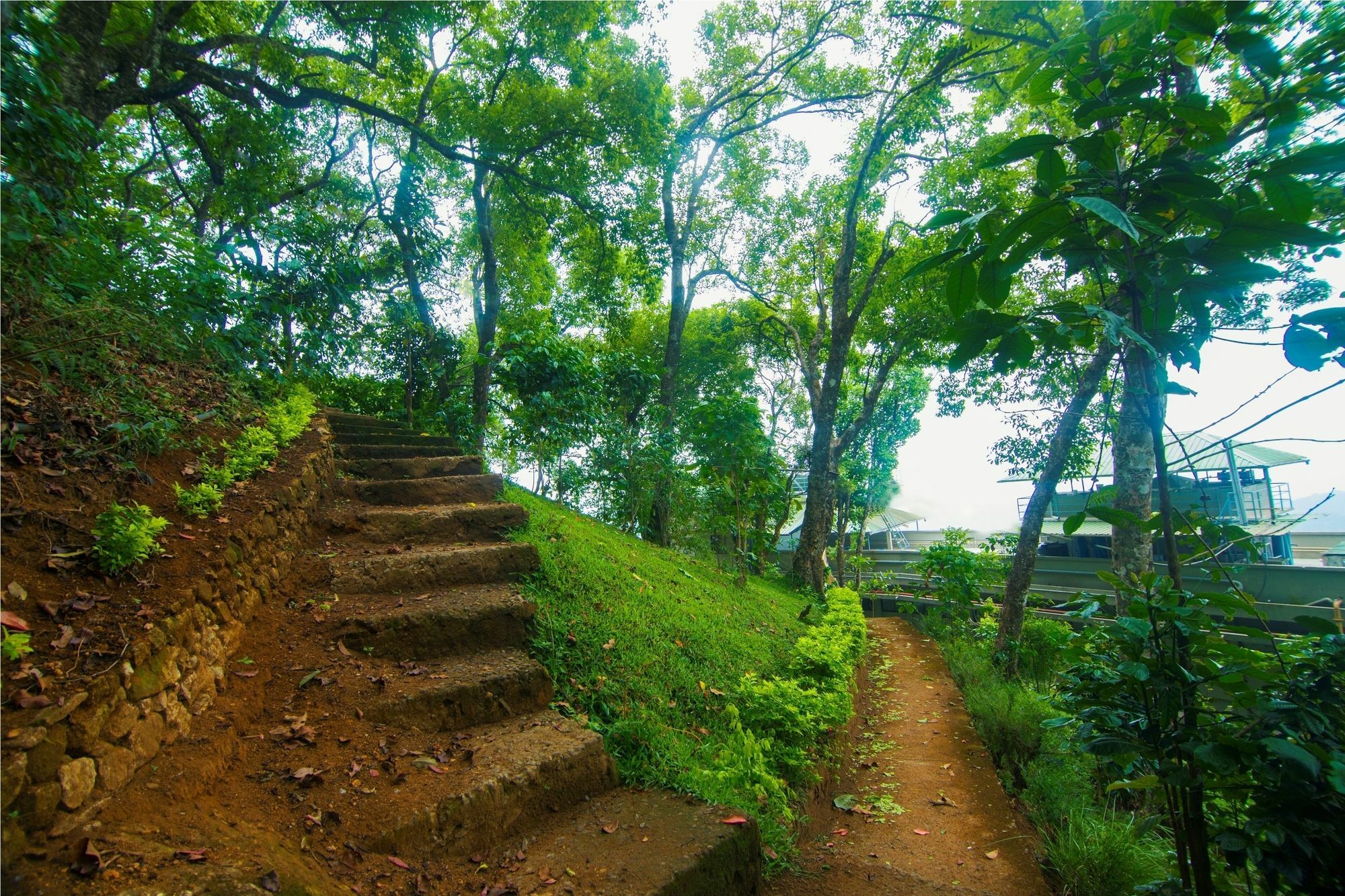 Forest Glade Resorts Chithirapuram Kültér fotó