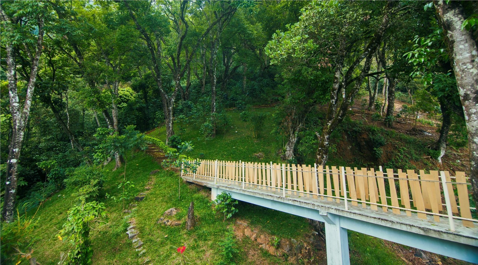 Forest Glade Resorts Chithirapuram Kültér fotó